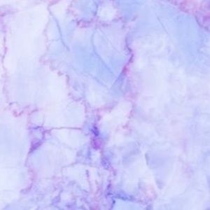 Meet your Posher, Kassie